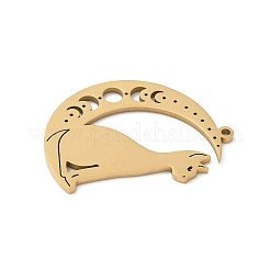 Colgantes de acero inoxidable 304&nbsp;STAS-F326-18G