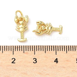 Messing Anhänger & Charms&nbsp;KK-I355-10G