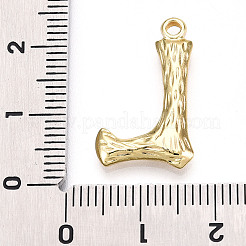 Pendentifs en acier inoxydable 304&nbsp;LS-STAS-N117-01G-L