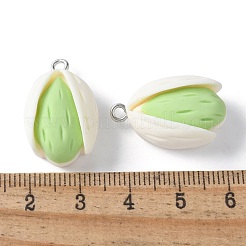 Pendentifs en résine opaque&nbsp;RESI-Z033-01P