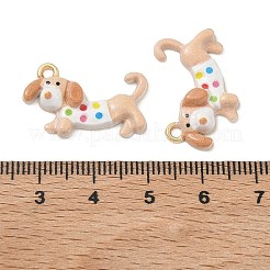 Lackiert Legierung Emaille Anhänger&nbsp;ENAM-K076-41G-01