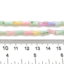 Regenbogenfarben gefärbte Stränge natürlicher Süßwassermuschelperlen&nbsp;SHEL-G018-02C