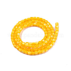 Naturali di acqua dolce perline shell fili&nbsp;SHEL-N003-33-A08
