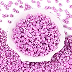 Perles de verre nacrées avec peinture à cuisson&nbsp;SEED-T008-03M