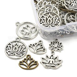 60pcs 6 pendentifs en alliage de style tibétain&nbsp;TIBE-YW0001-31