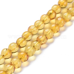 Perles d'ambre naturel brins&nbsp;G-K308-C01-5mm