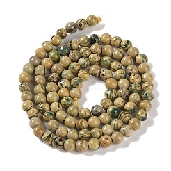 Brins de perles en pierre verdite naturelle&nbsp;G-P530-B07-01