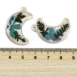 Pendentifs en résine époxy&nbsp;RESI-S09-01A-RS