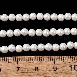 Runde Schale Perle Perle Stränge&nbsp;BSHE-L011-4mm-A013A