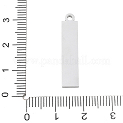 Ciondoli in acciaio inox 304&nbsp;SA-CBAE115-13B-P