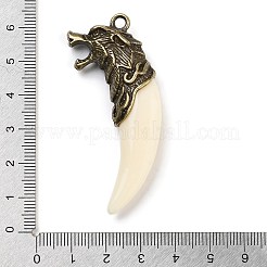 Pendentifs en forme de dent de loup en alliage de résine de style tibétain&nbsp;FIND-A042-04AB