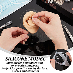 Display del corpo del modello flessibile in silicone morbido con supporti in acrilico&nbsp;ODIS-WH0026-06A
