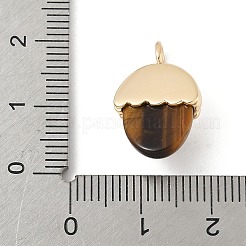 Pendentifs en œil de tigre naturel&nbsp;X-KK-Z107-02G-02