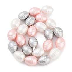 Perles de perles de coquille galvanoplastie&nbsp;BSHE-H110-01-05