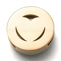 Charms scorrevoli in acciaio inossidabile 304&nbsp;STAS-P270-05G-01