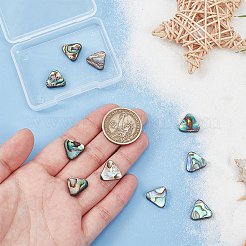 10 Stück natürliche Abalone-Muschel/Paua-Muschelperlen&nbsp;SSHEL-BC0001-29