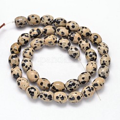 Oval natürlichen Dalmatiner Jaspis Perle Stränge&nbsp;G-P106-15