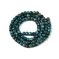 Natur Chrysokoll Perlen Stränge&nbsp;G-N342-117