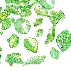 Transparenten Acryl-Anhänger&nbsp;AC-CBAE38D-02A