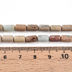 Shoushan pietra naturale perline fili&nbsp;G-N346-01A-07