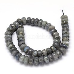Fili di perline di labradorite naturale rondelle&nbsp;G-O095-05-G