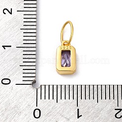925 ciondolo in argento sterling con zirconi&nbsp;STER-NH0014-01G-02