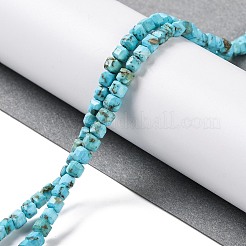 Fili di perline howlite naturale&nbsp;G-H025-04B