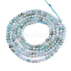 Russia naturale perline amazonite fili&nbsp;G-S300-13-2mm