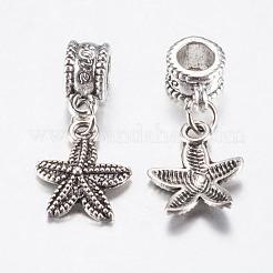Tibetische Legierung europäische baumelnde Charms&nbsp;PALLOY-F199-42AS
