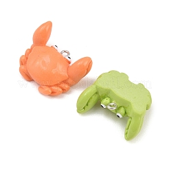Pendentifs en résine opaque&nbsp;RESI-I355-03P-03