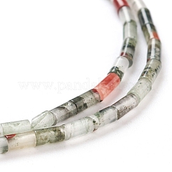 Perline Bloodstone naturale fili&nbsp;G-G783-15