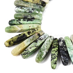 Cuentas serpentinas naturales hebras&nbsp;G-Q616-06D
