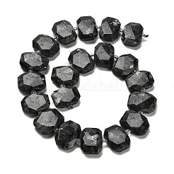 Natürliche Larvikit-Perlenstränge&nbsp;G-H078-B06-01