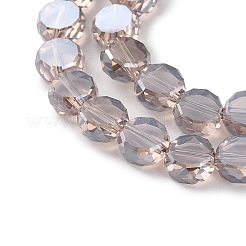 Chapelets de perles en verre électroplaqué&nbsp;EGLA-C010-01A-PL04