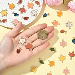 Pendenti in lega di zinco a tema autunno 30pcs 10 stili&nbsp;ENAM-YW0006-94