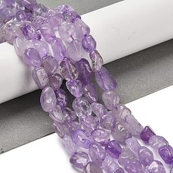 Natürlichen Amethyst Perlen Stränge&nbsp;G-P497-01E-21