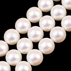 Rangs de perles de verre électroplaquées de taille dégressive&nbsp;BSHE-C011-03A