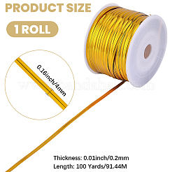I lacci di plastica&nbsp;AJEW-CP0011-18