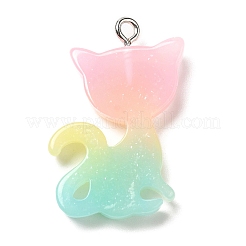 Pendentifs en résine translucide&nbsp;RESI-G069-03C