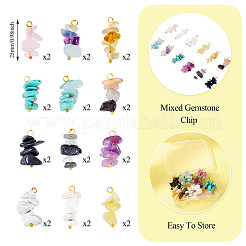 24 pièces 12 styles pendentifs de puces de pierres précieuses mélangées&nbsp;PALLOY-TAC0166