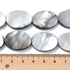 Natur schwarz Lippe Shell Perlen Stränge&nbsp;BSHE-D300-02-18x25mm