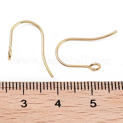Ohrringhaken aus chirurgischem Edelstahl 316&nbsp;STAS-P162-13G-B01