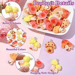 30pcs 5 styles de pendentifs en résine&nbsp;RESI-CJ0005-20