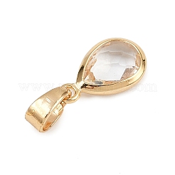 Glas Anhänger / charms&nbsp;PALLOY-JF04360