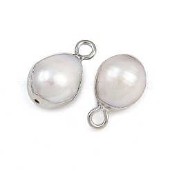 Natürliche Perlen-Tropfen-Charms&nbsp;KK-D423-04P