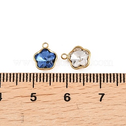 Glas Anhänger / charms&nbsp;STAS-P437-15G-G