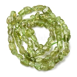 Natürlichen Peridot Perlen Stränge&nbsp;G-H346-A01-01