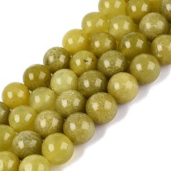 Hilos de cuentas de jade limón natural calentadas&nbsp;G-Q601-13A-06