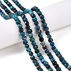 Natürliche Chrysokolla und Lapislazuli Perlen&nbsp;G-N342-116
