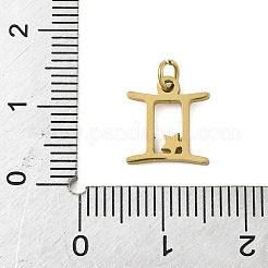 Anhänger aus chirurgischem Edelstahl 316l&nbsp;STAS-U058-01G-03